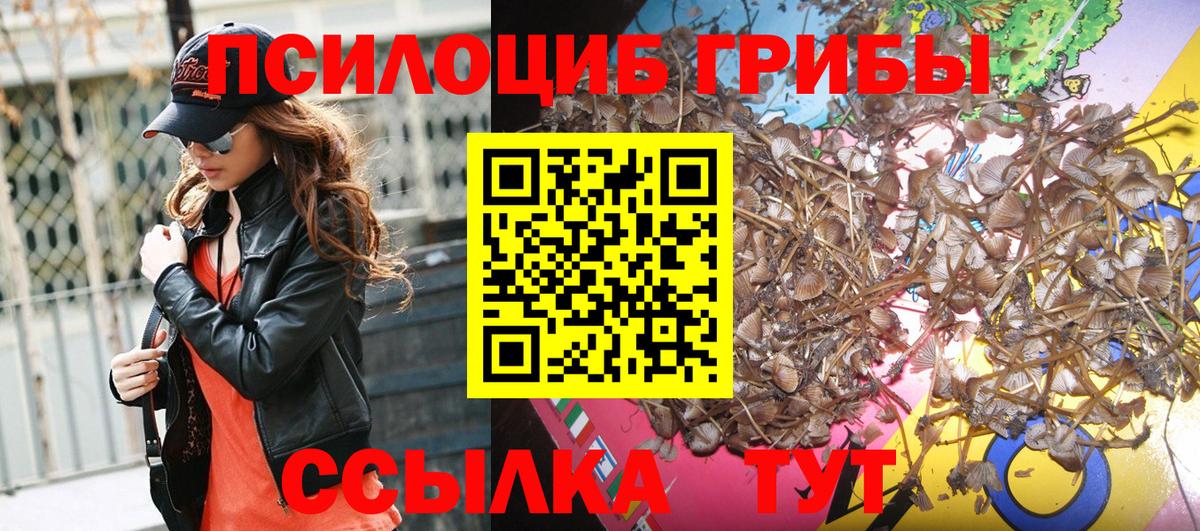 Галлюциногенные грибы мухоморы Майкоп