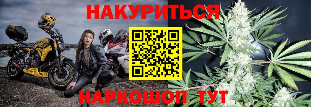 Конопля сатива Майкоп